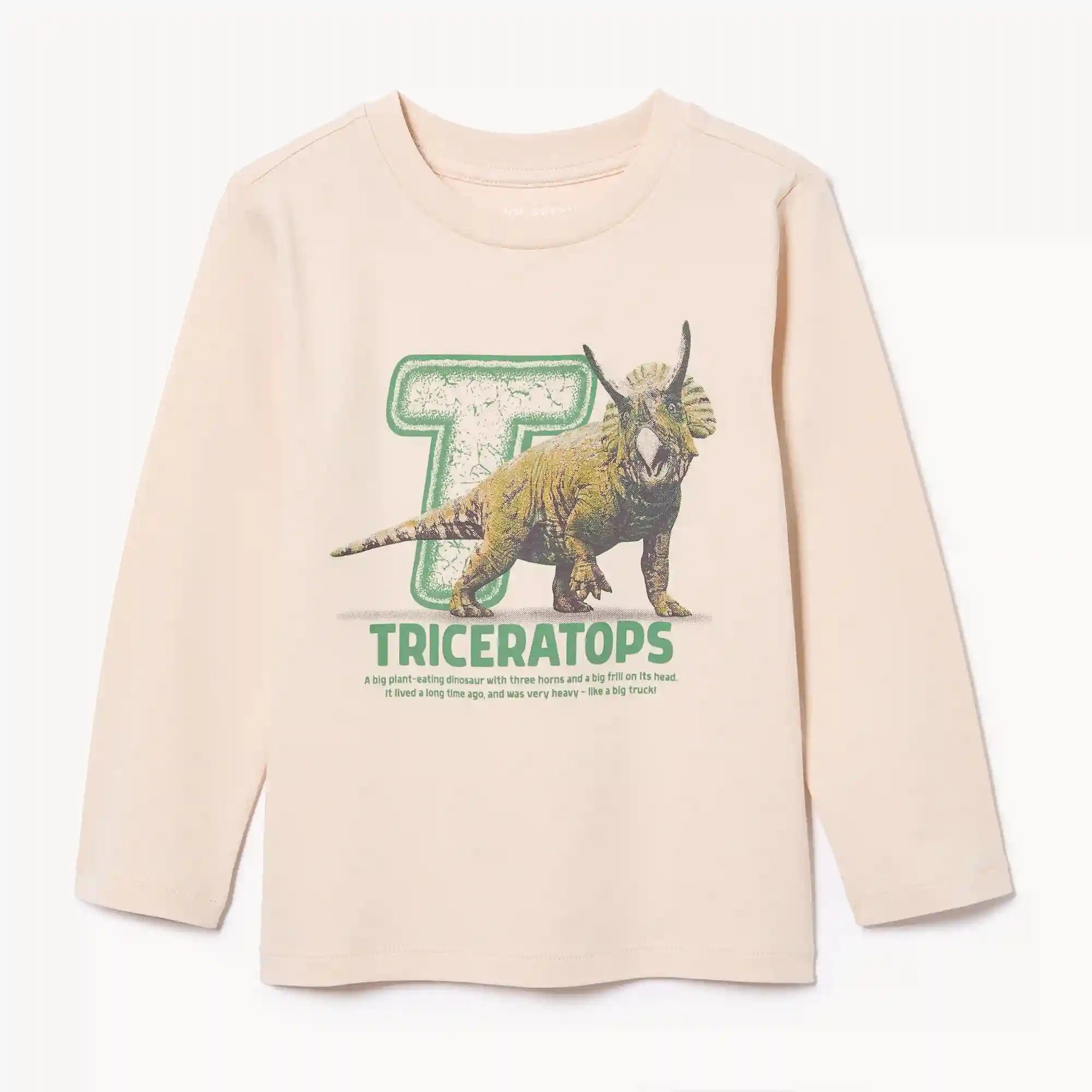 Toddler Graphic Long Sleeve Top