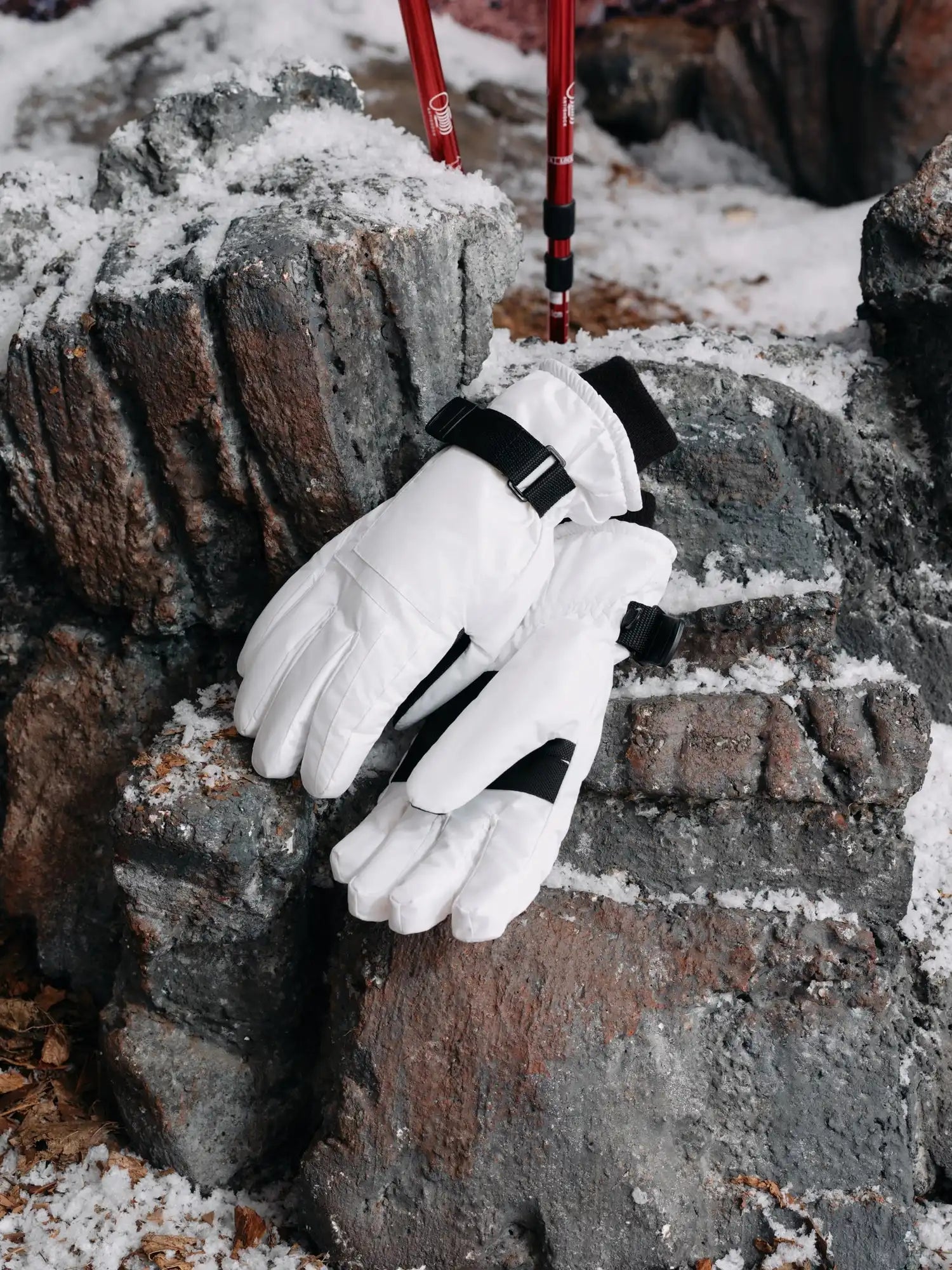 Ski Gloves