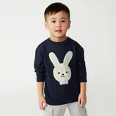 Toddler Boys' Bunny Graphic Sweater