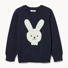 Toddler Boys' Bunny Graphic Sweater