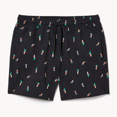 Men's Seersucker 6" Swim Trunk