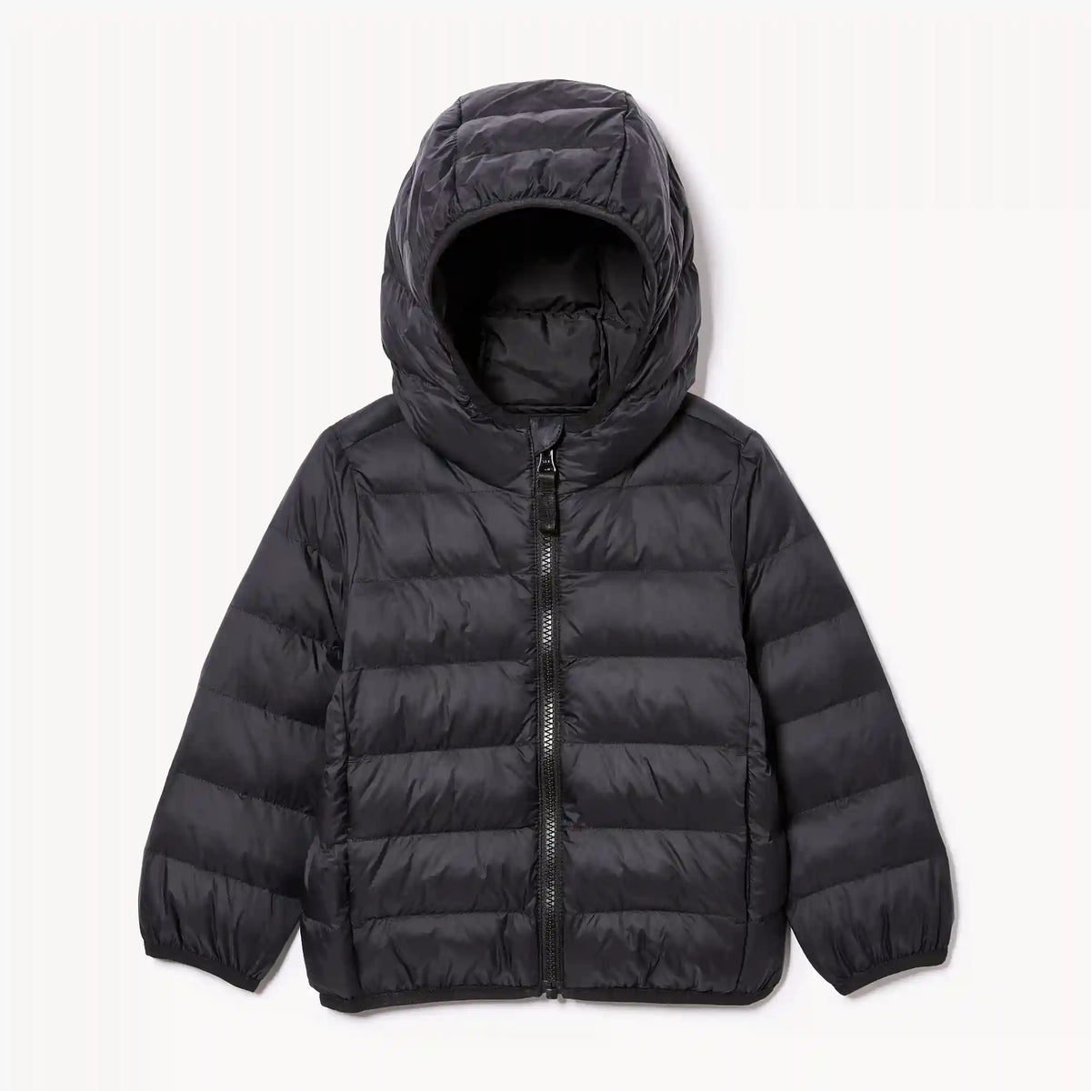 Toddler Lightweight Puffer Jacket