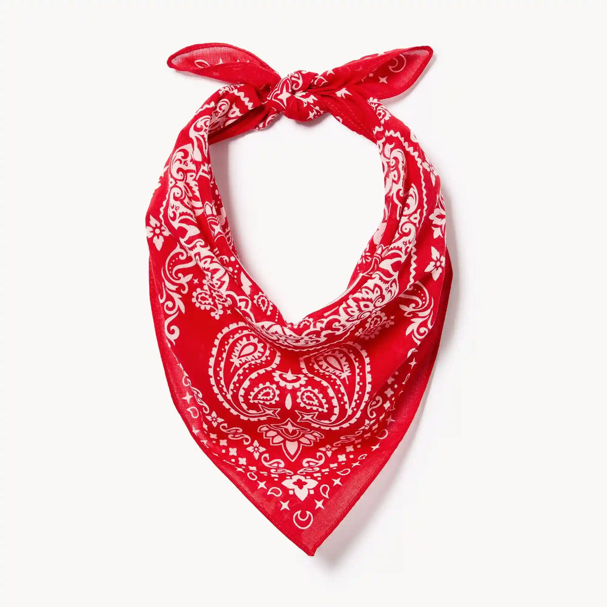Printed Bandana