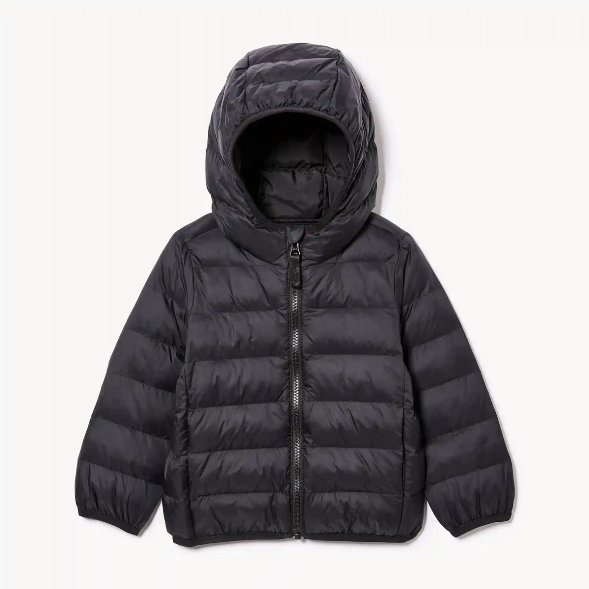 Toddler Lightweight Puffer Jacket