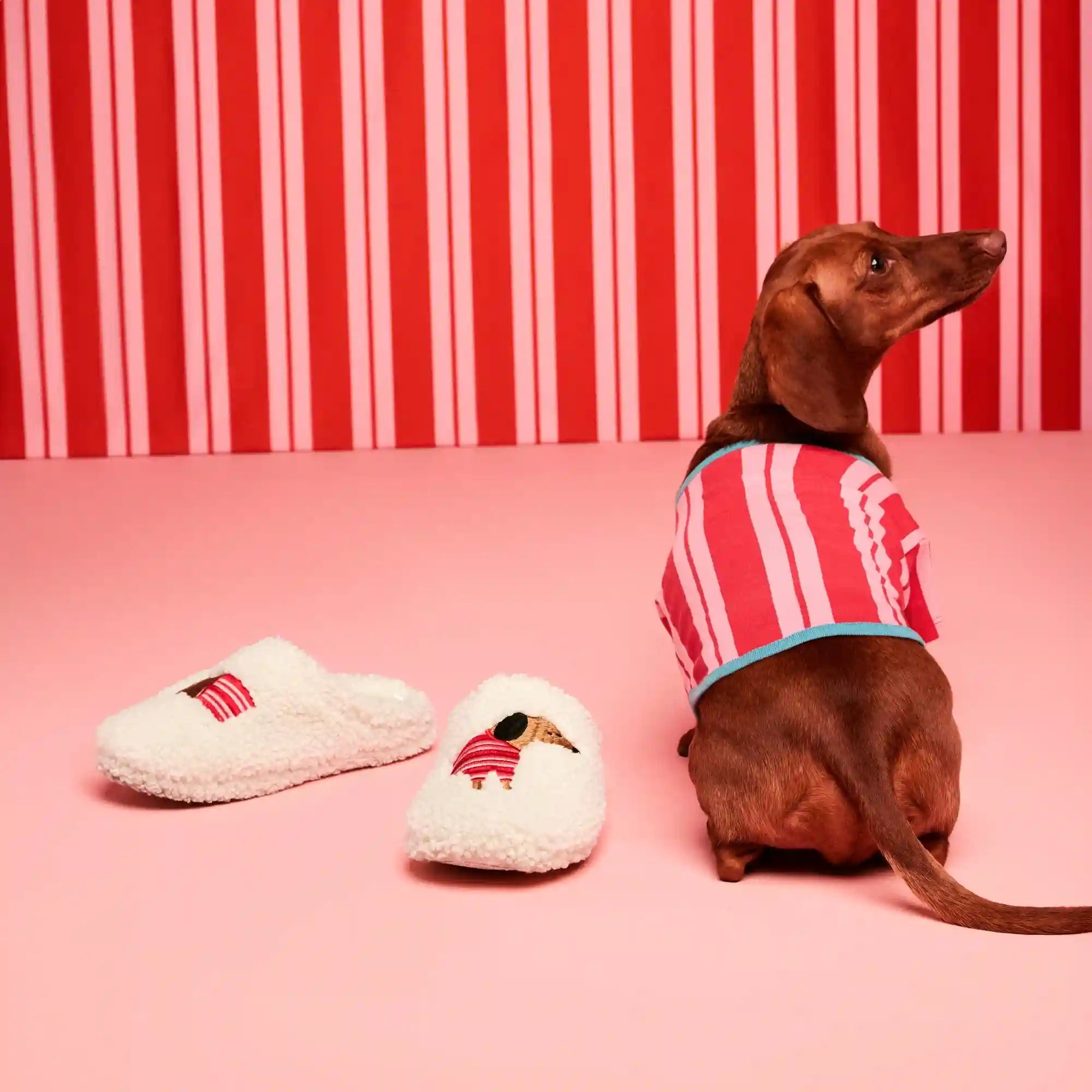 Toddler JF x Jessi Dog Slippers