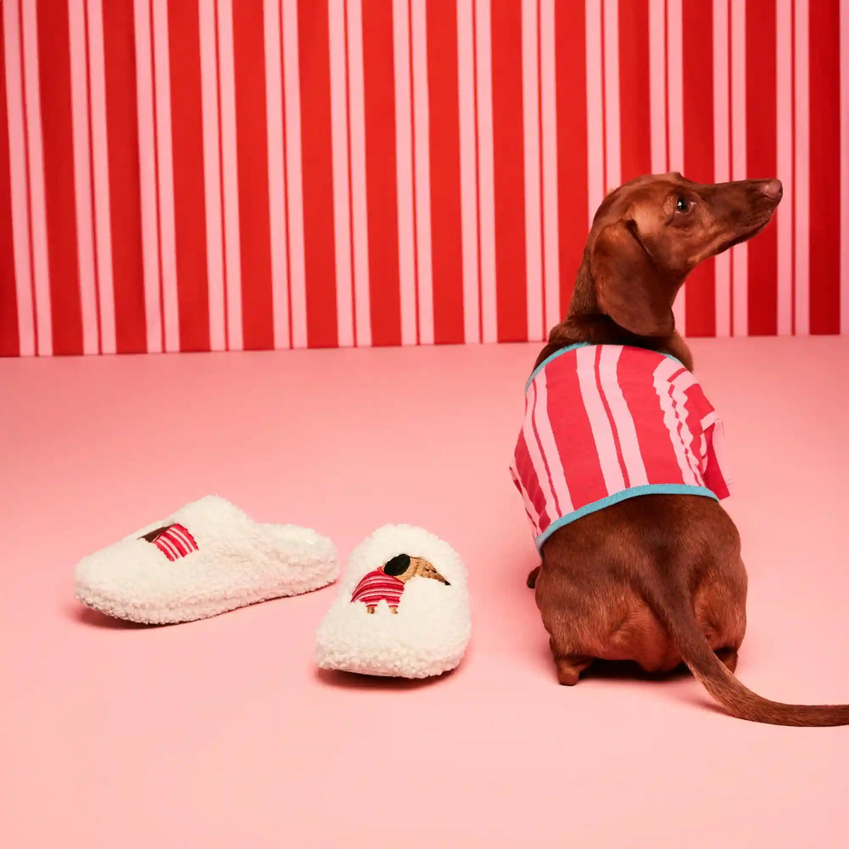 Toddler JF x Jessi Dog Slippers