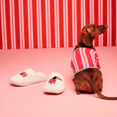 Toddler JF x Jessi Dog Slippers