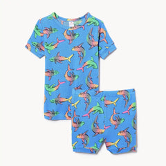 Toddler Boys' Printed Sleep Set